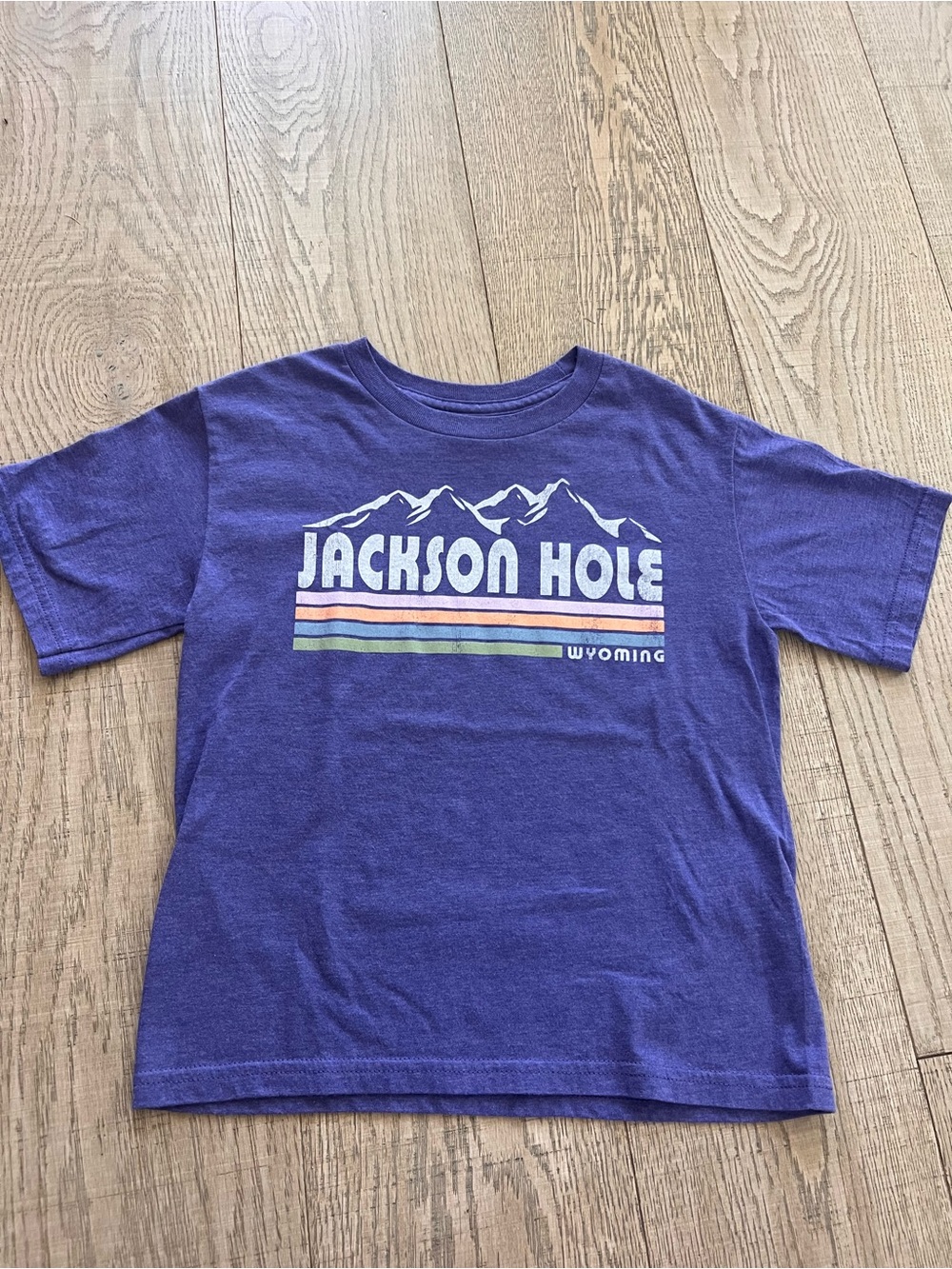 Jackson Hole Kids' Purple Mountain Graphic Tee - never worn